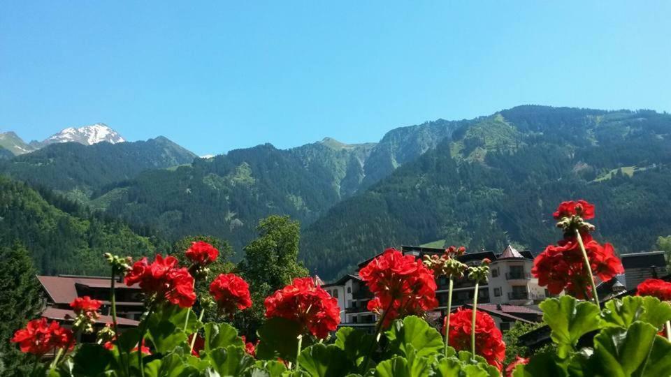 Landhaus Alpenrose Mayrhofen Luaran gambar